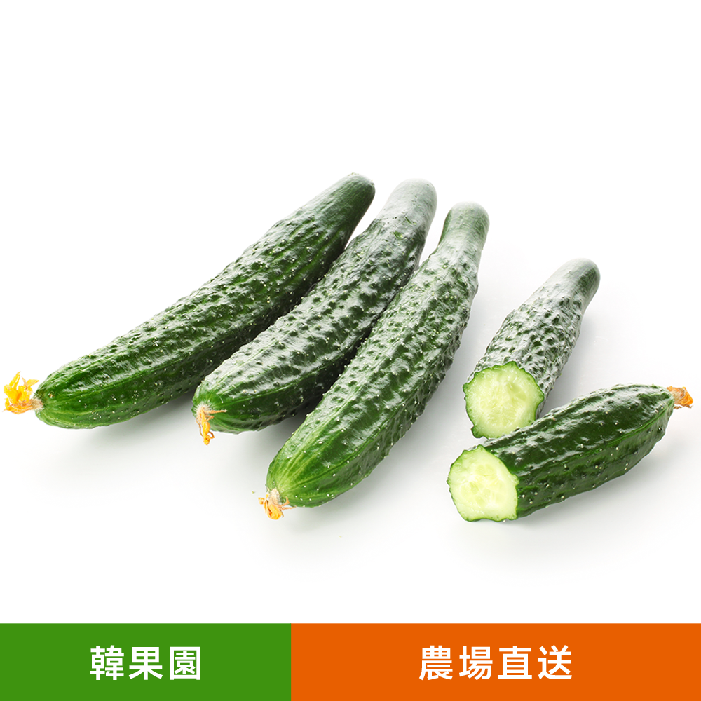 農場直送新鮮有機種植刺青瓜/黃瓜（2條）果肉甘甜