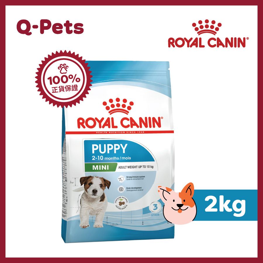 APR33 2-10months small puppy 2KG