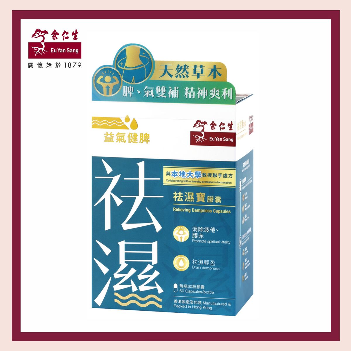 Relieving Dampness Capsules