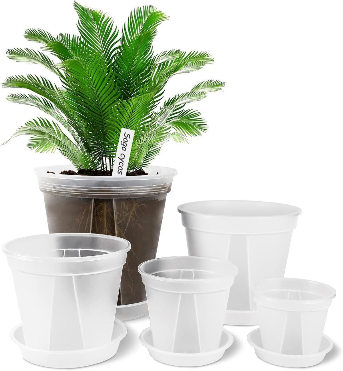 Life Needs Center | Transparent plastic flower pot with base and label ...