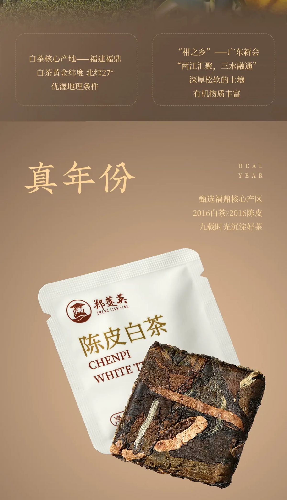 內地直送| 郑莲英陈皮白茶福鼎白茶老白茶陈皮贡眉小方片茶小金条茶叶