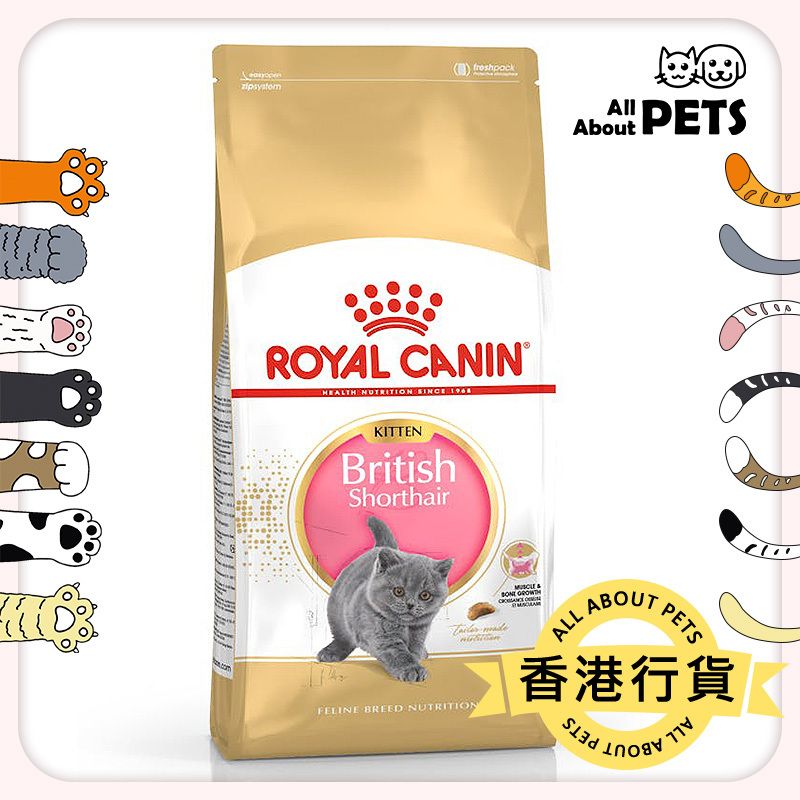 純種系列 英國短毛貓 幼貓專屬配方 幼貓糧 貓糧 (10公斤)  Royal Canin 皇家 英短幼貓 貓乾糧 Exp:2026-08-10