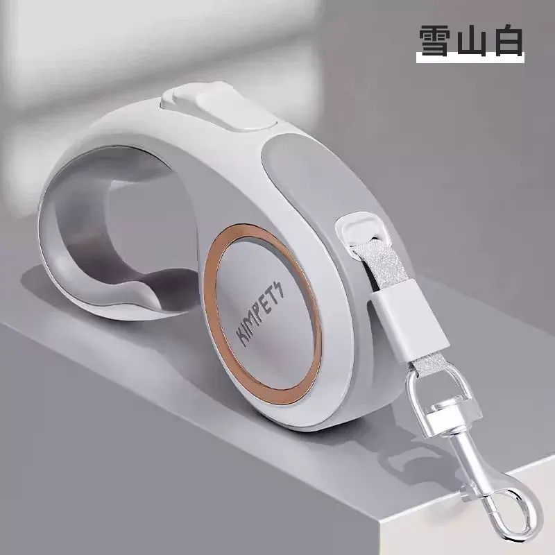 Dog leash for walki