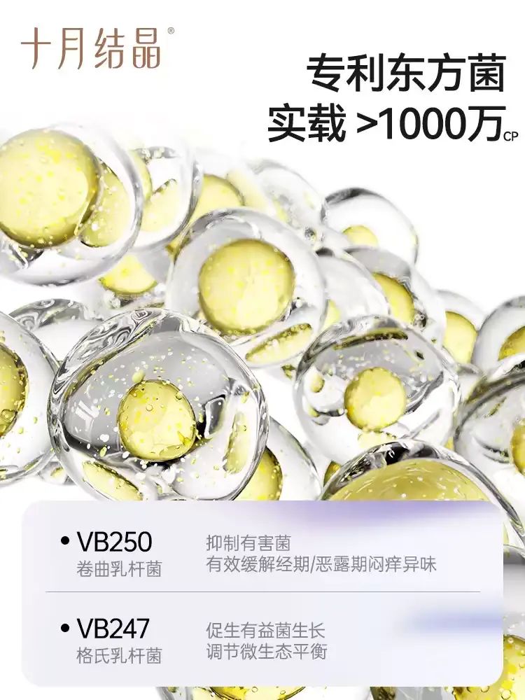十月結晶孕產婦一次性即棄內褲 益生菌抗菌純棉底襠 月子經期旅行出差免洗