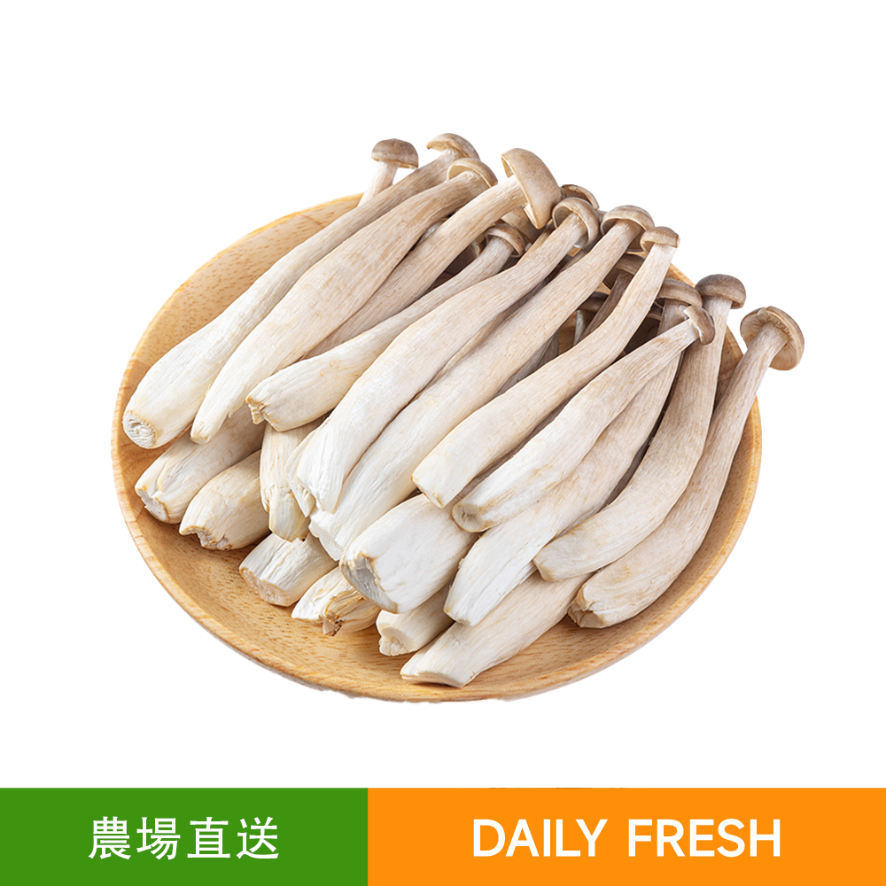 有機種植鹿茸菇250g 脆松嫩滑 菌香鮮美 鹿茸菌/鮮菇
