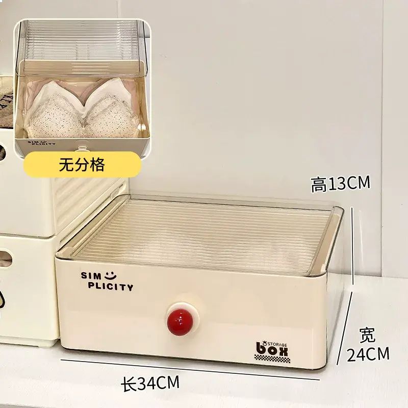 Underwear and Panty Organizer Drawer Storage