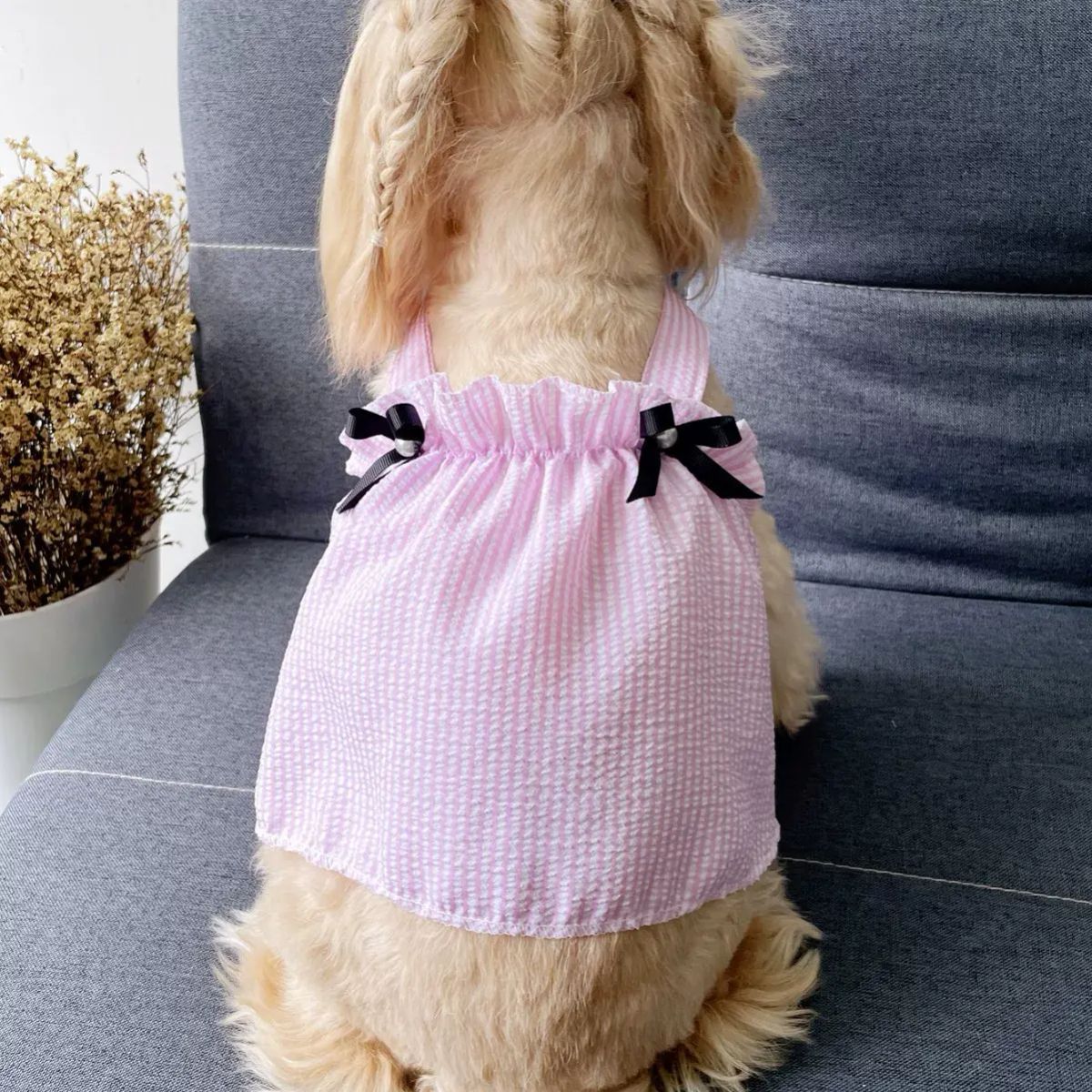 宠物条纹泡泡格珍珠背带裙猫狗服饰适合四季穿着穿搭服装衣服薄款