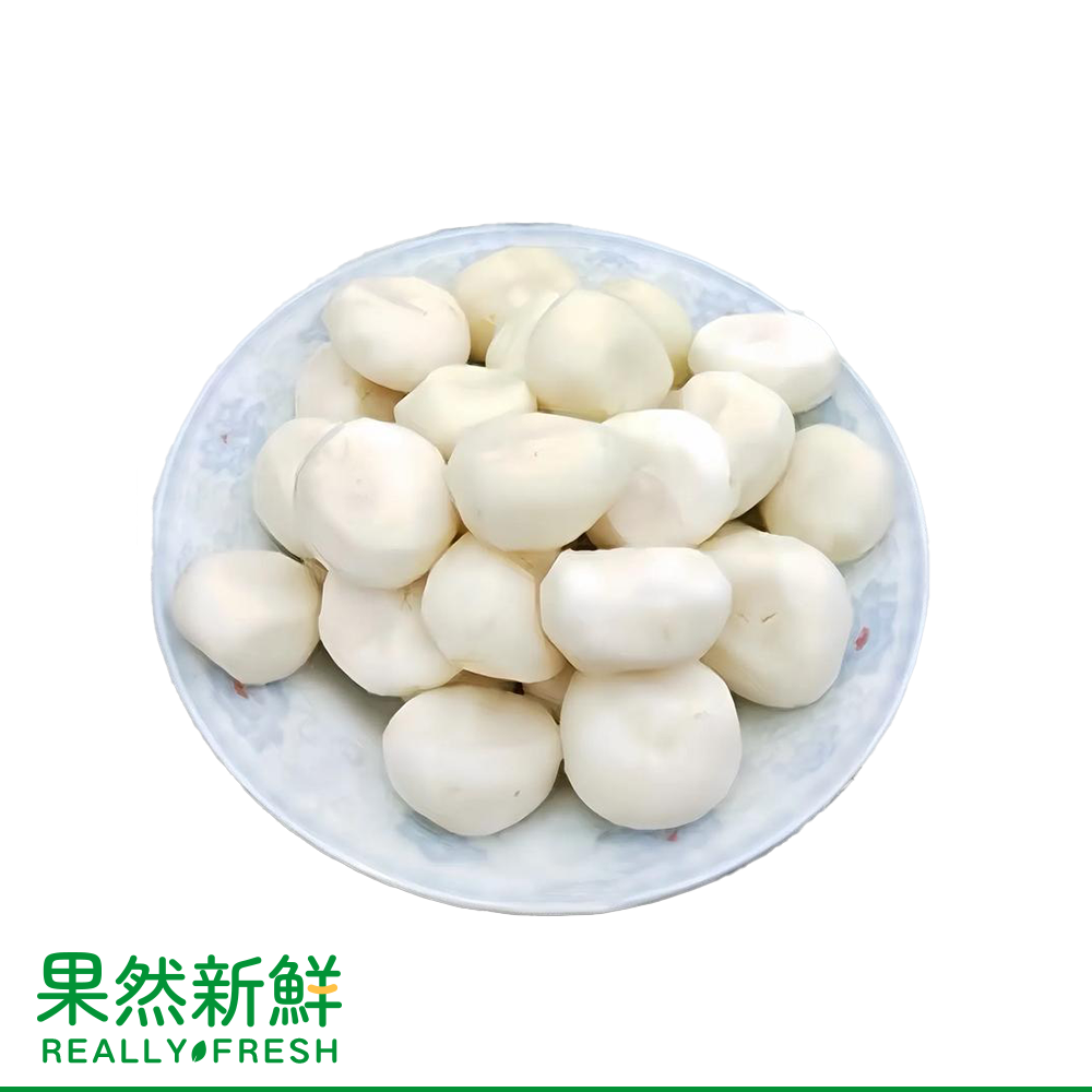馬蹄真空包裝約300g