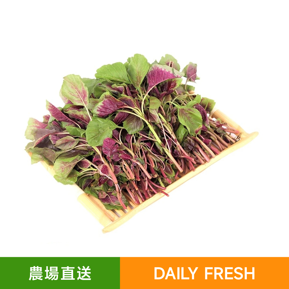 新鮮農場直送紅莧菜（500g）紅湯補鐵 鈣高菜嫩