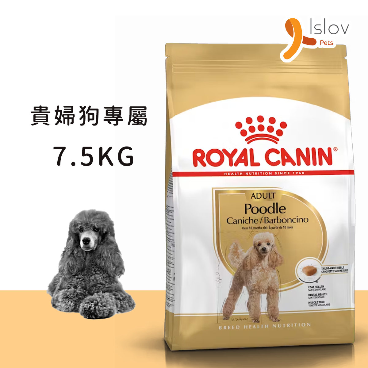 Royal Canin - BHN - Poodle Adult - 貴婦狗成犬專屬配方 狗糧 - 7.5KG