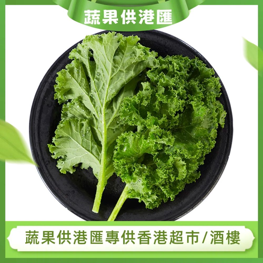蔬菜界網紅-羽衣甘藍(500-600g)