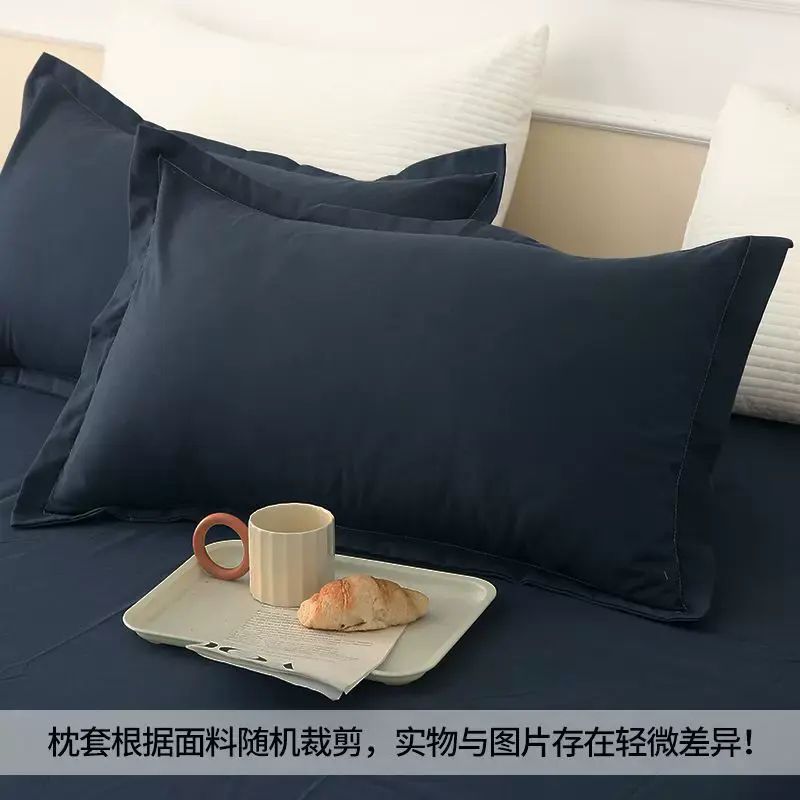 枕套枕頭套一對裝加厚水洗棉磨毛現代簡約成人四件套紡縫枕芯批發