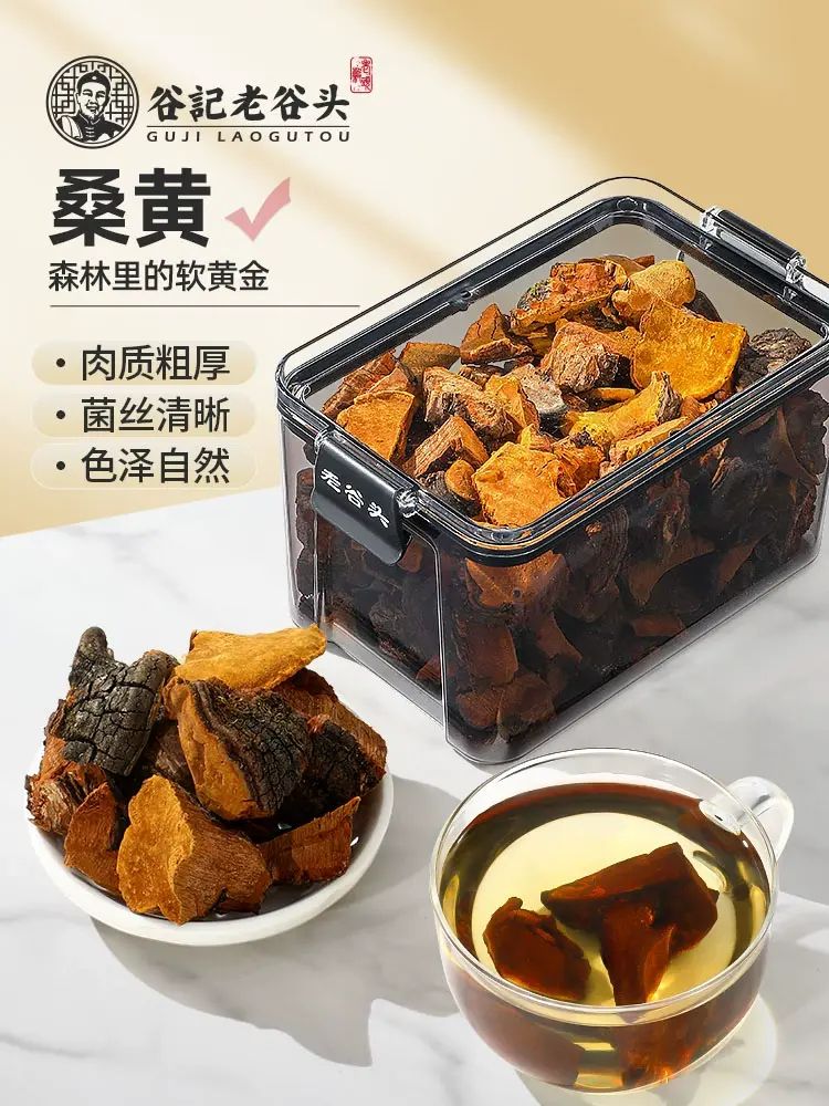 谷記老谷頭-淨口密封罐 桑黃 250g 人工採取、摘取 手工切塊 花茶 果茶 花果茶 養生茶
