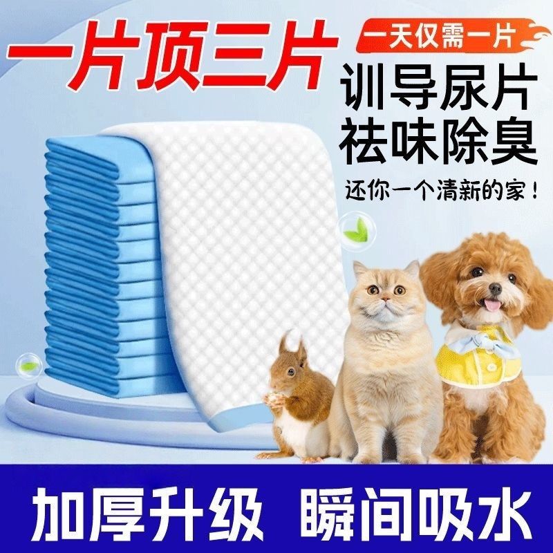 50片*1 寵物尿墊尿片寵物訓導墊M碼45cm*60cm