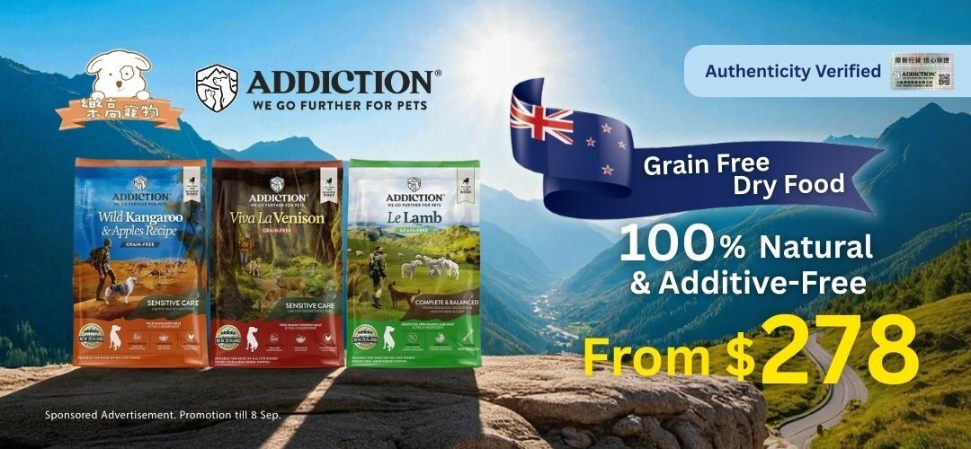 LP_ADDICTION_0901