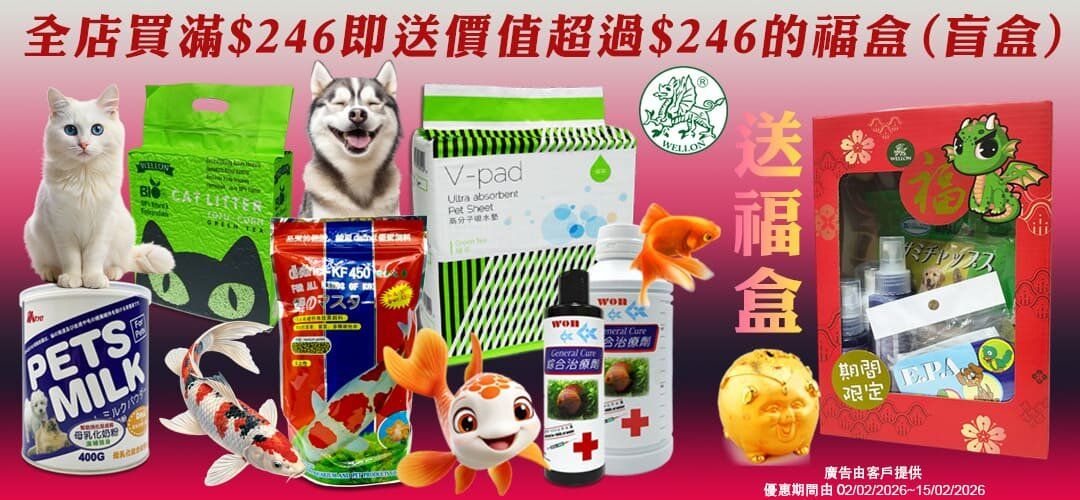 全店滿$246送福盒 week 2