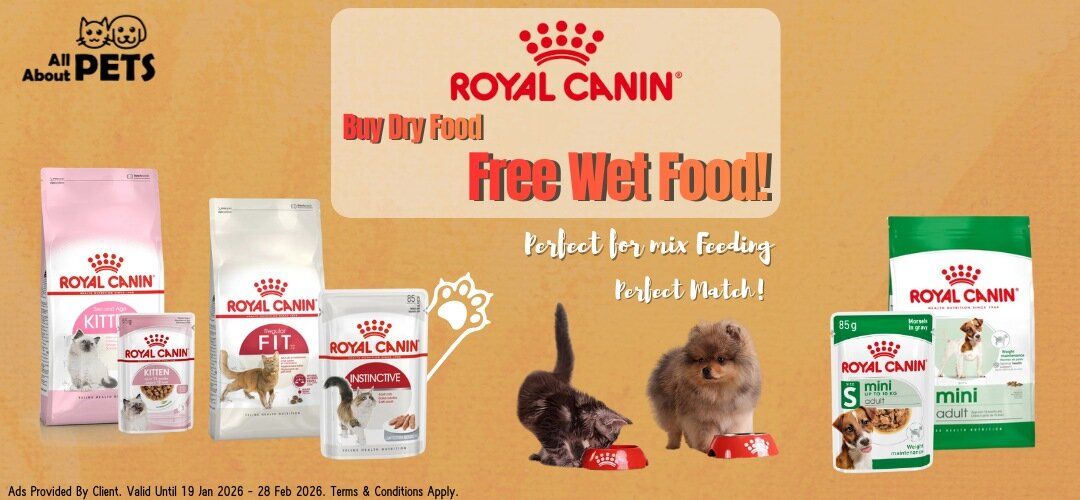 goodwill_allaboutpet