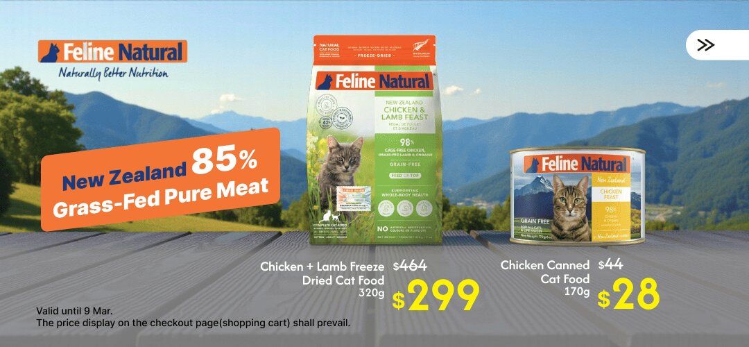 Web_SliderA_Cat_20260226_felinenatural