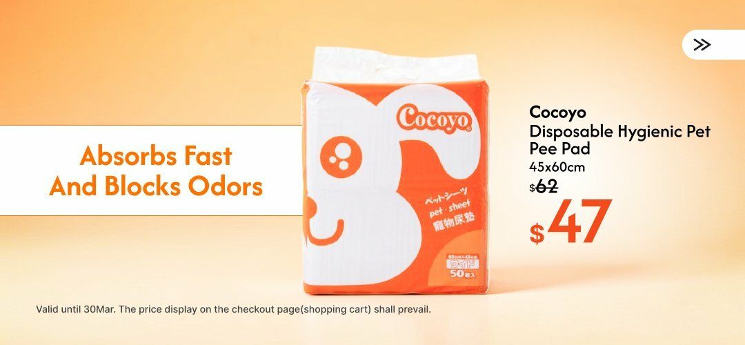 Web_SliderA_Dog_Cocoyo