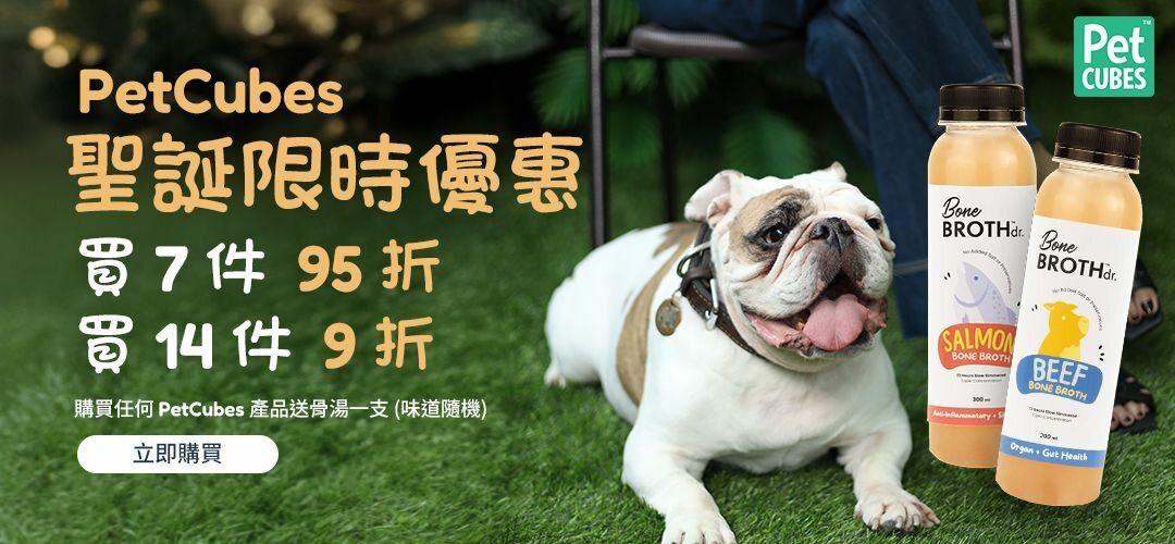 allaboutpet_20251222