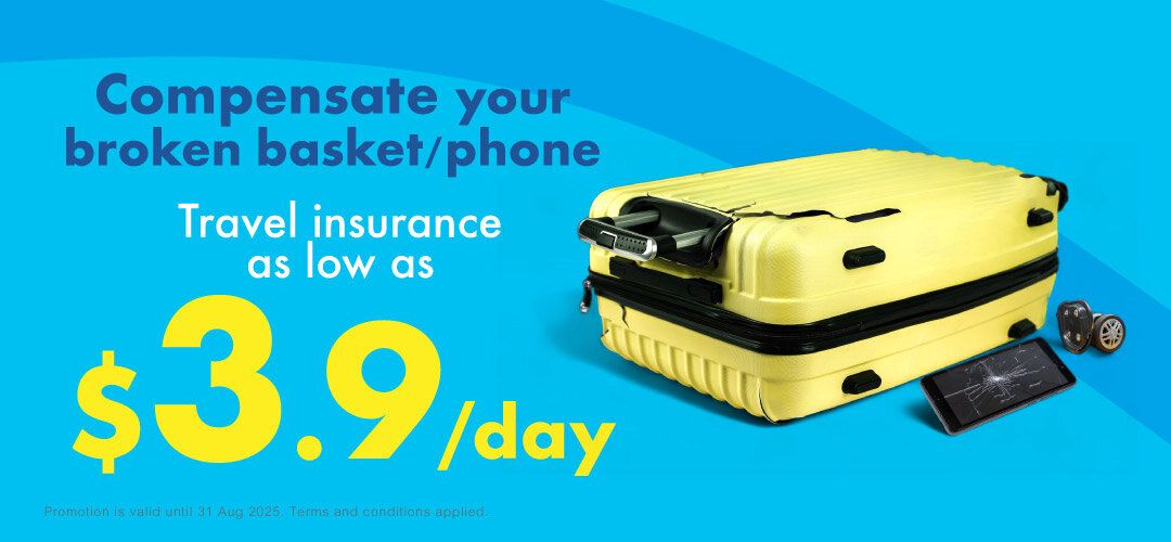 TravelInsurance_YearPlan_Suitcase_20250523