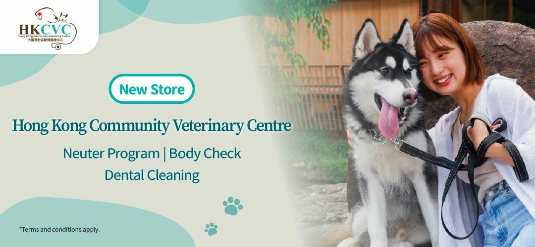 deals-regular-HKCVC-20260318