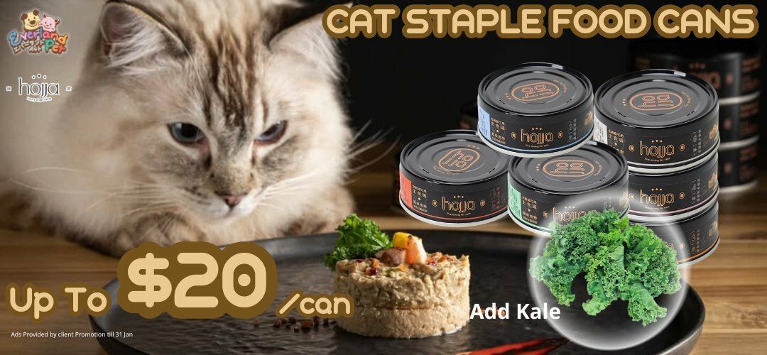 hojja 賀家 貓罐
