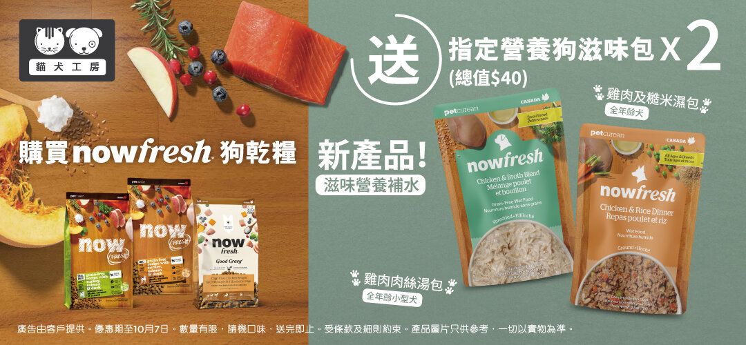 NOW_POUCH