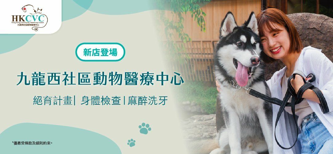 deals-regular-HKCVC-20260318