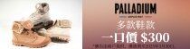 Palladium_March Offer