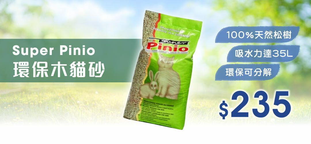 2026_newproduct_superpinio