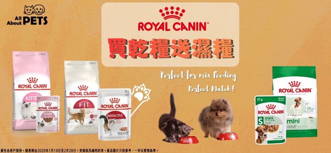 goodwill_allaboutpet