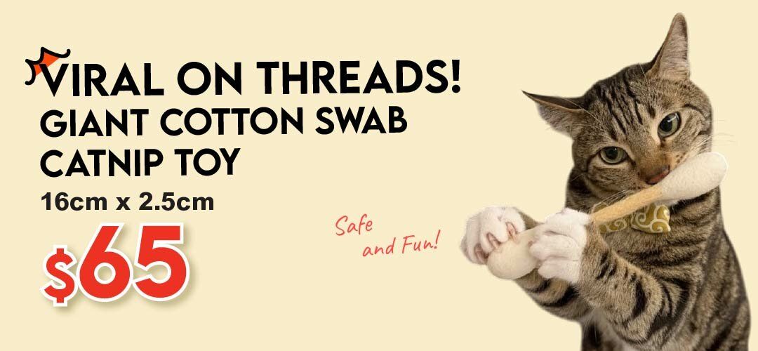 newfeed_cottonswab_20260209