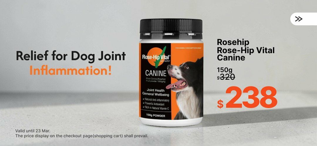 Web_SliderA_Dog_ropehip