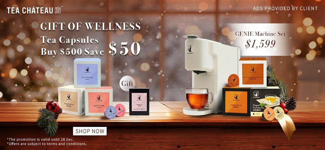 Xmas_1208_imageslider_13L