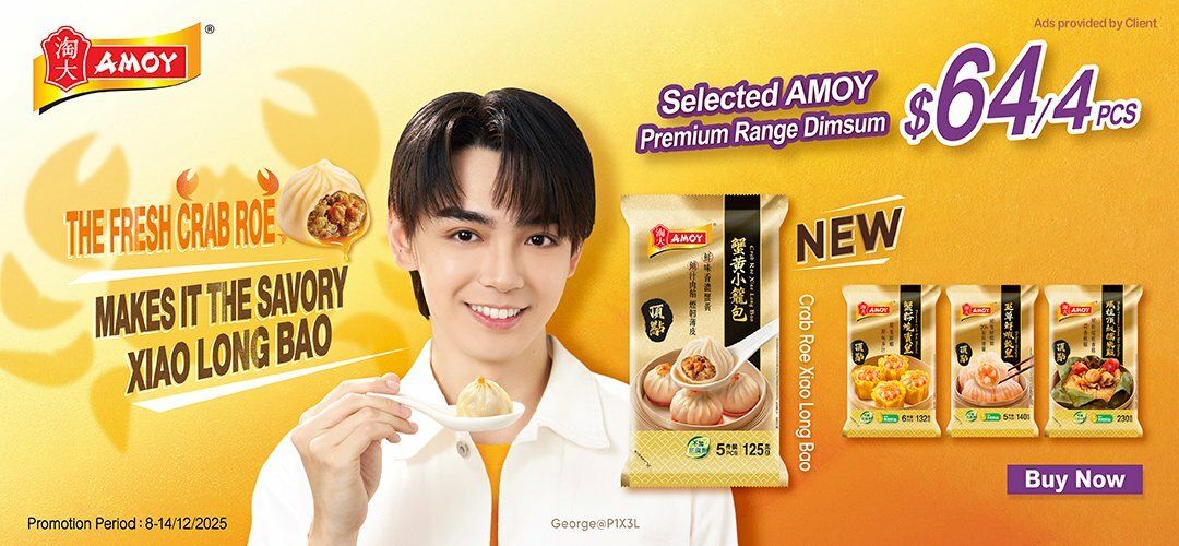 AMOY_Frozen_Winter Sales